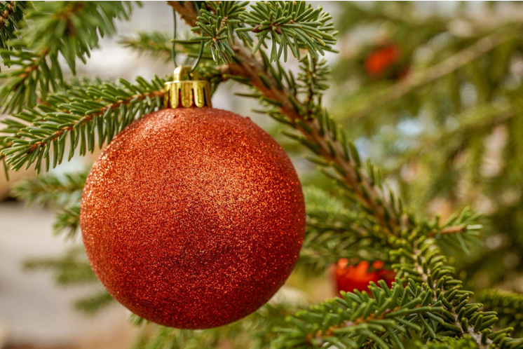 The Importance of Christmas Trees for Families, Nurseries, and Pregnant Women